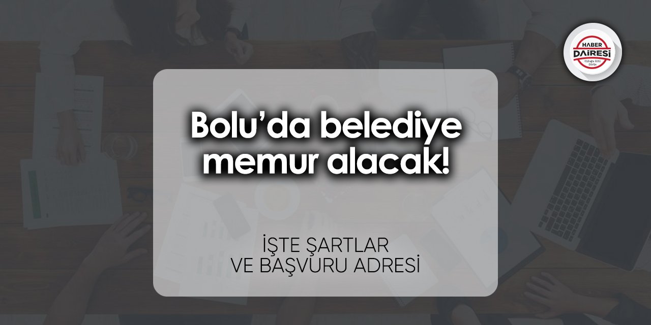 Bolu’da belediye memur alacak! İşte şartlar