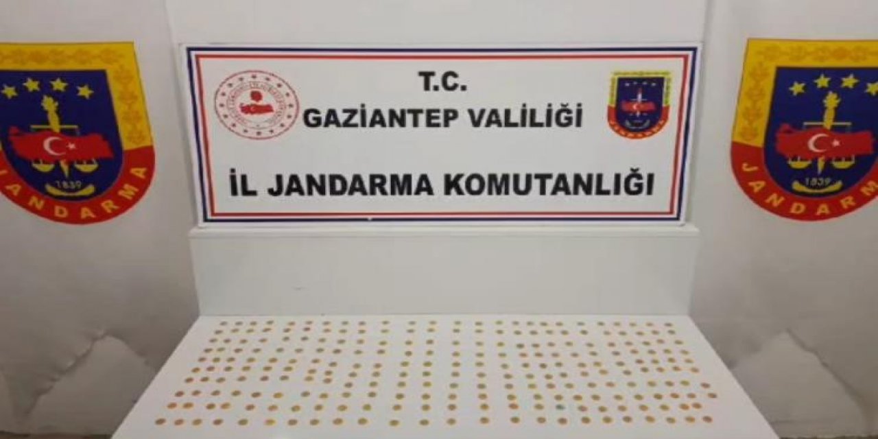 Gaziantep'te 245 adet sikke ele geçirildi