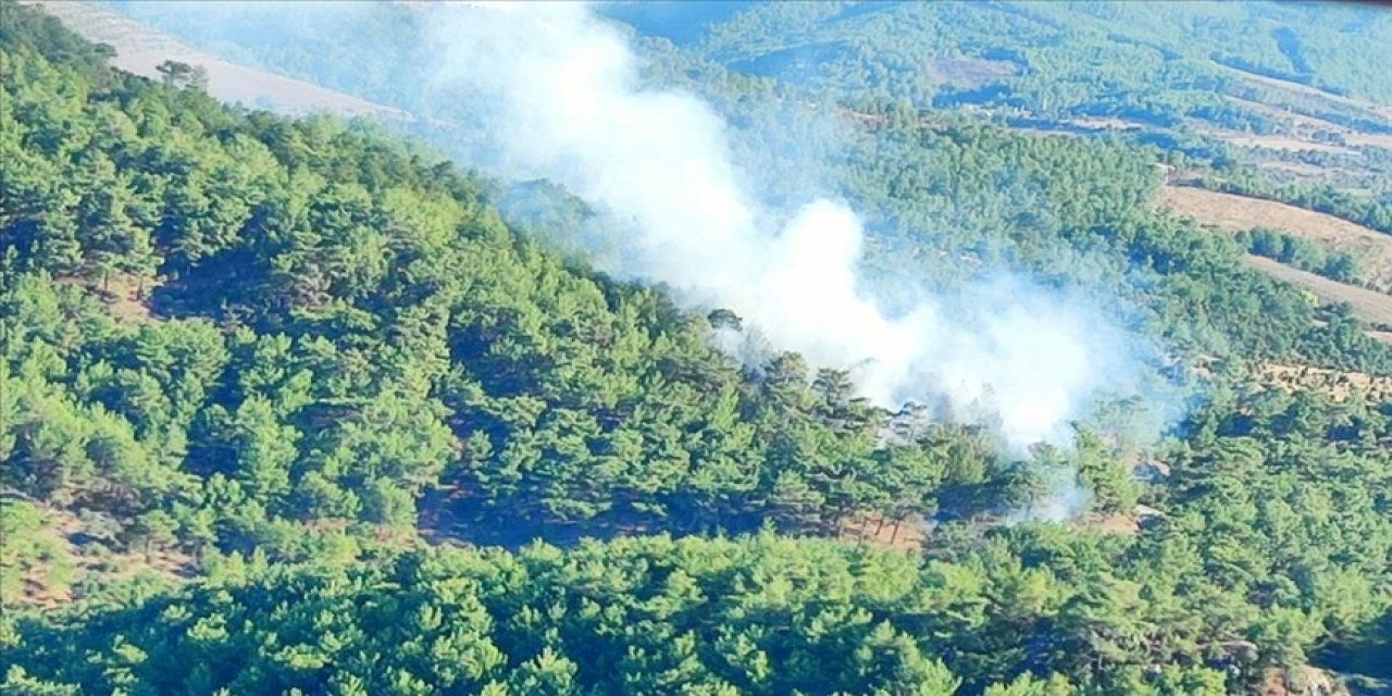 Çanakkale’deki orman yangınında 6 dönüm alan zarar gördü