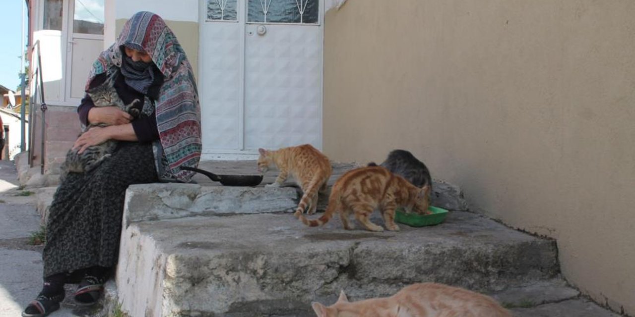 Eşinin mirasını sürdüren Hatice Teyze ömrünü Allah'ın sessiz kullarına adadı