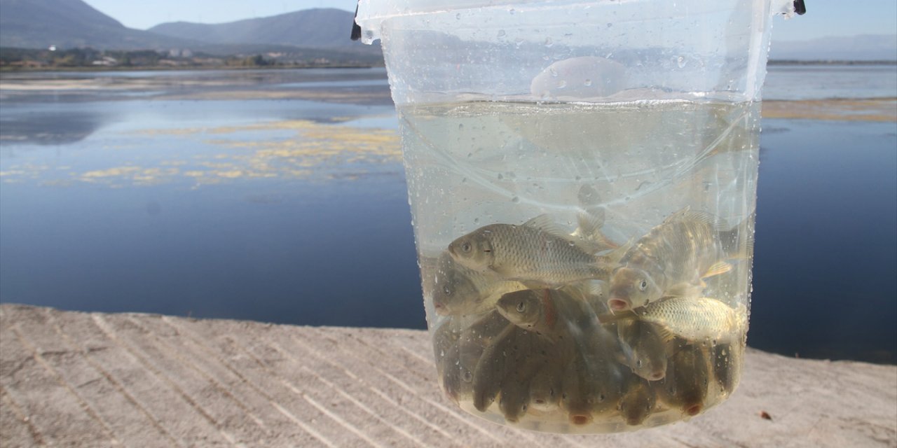 Konya’nın denizine 2 milyon yavru sazan balığı bırakıldı