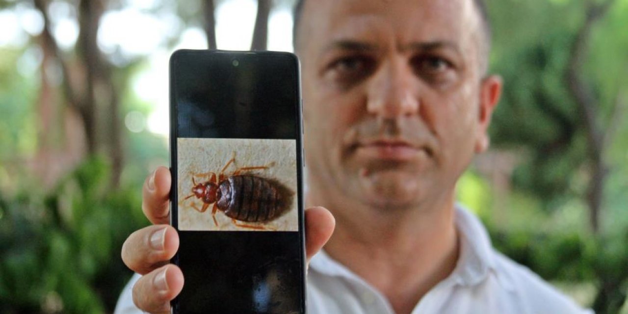 Konya dahil bir çok ilde kırmızı alarm: İnsan kanı ile besleniyor!