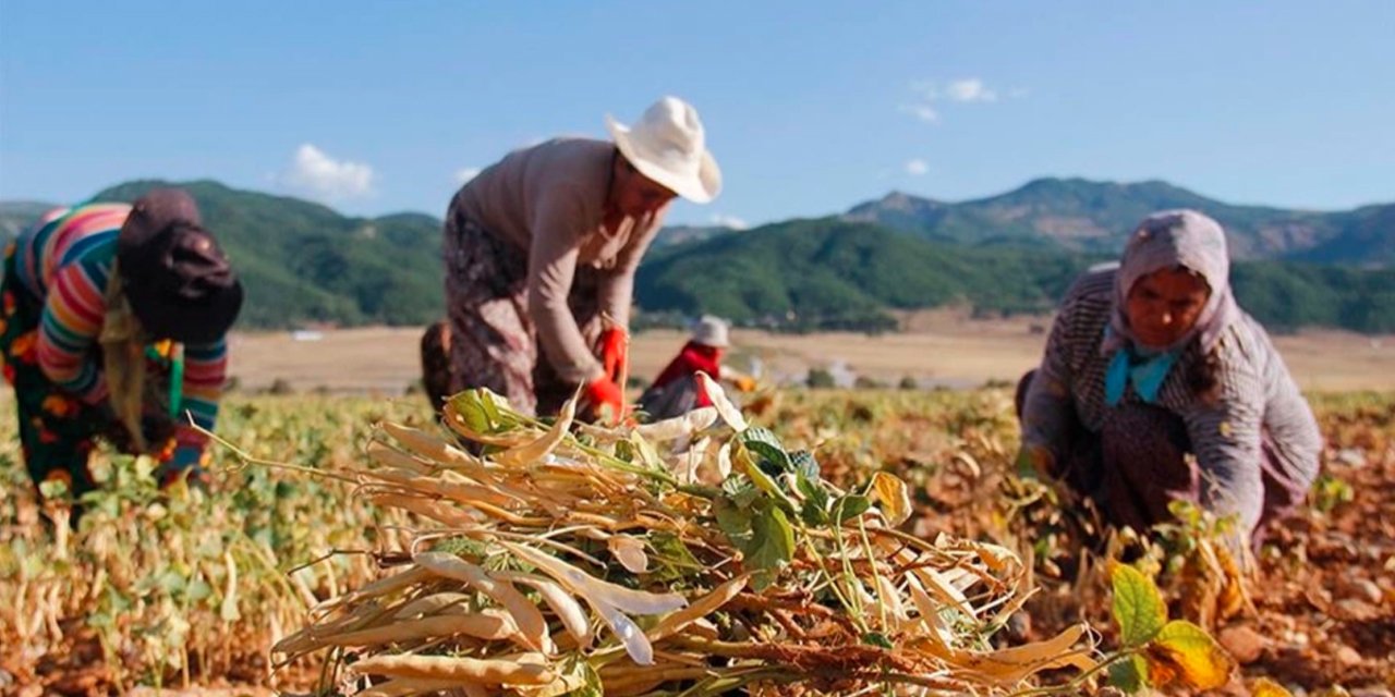 21 yılda kadın üreticilere 15 milyar lira destek