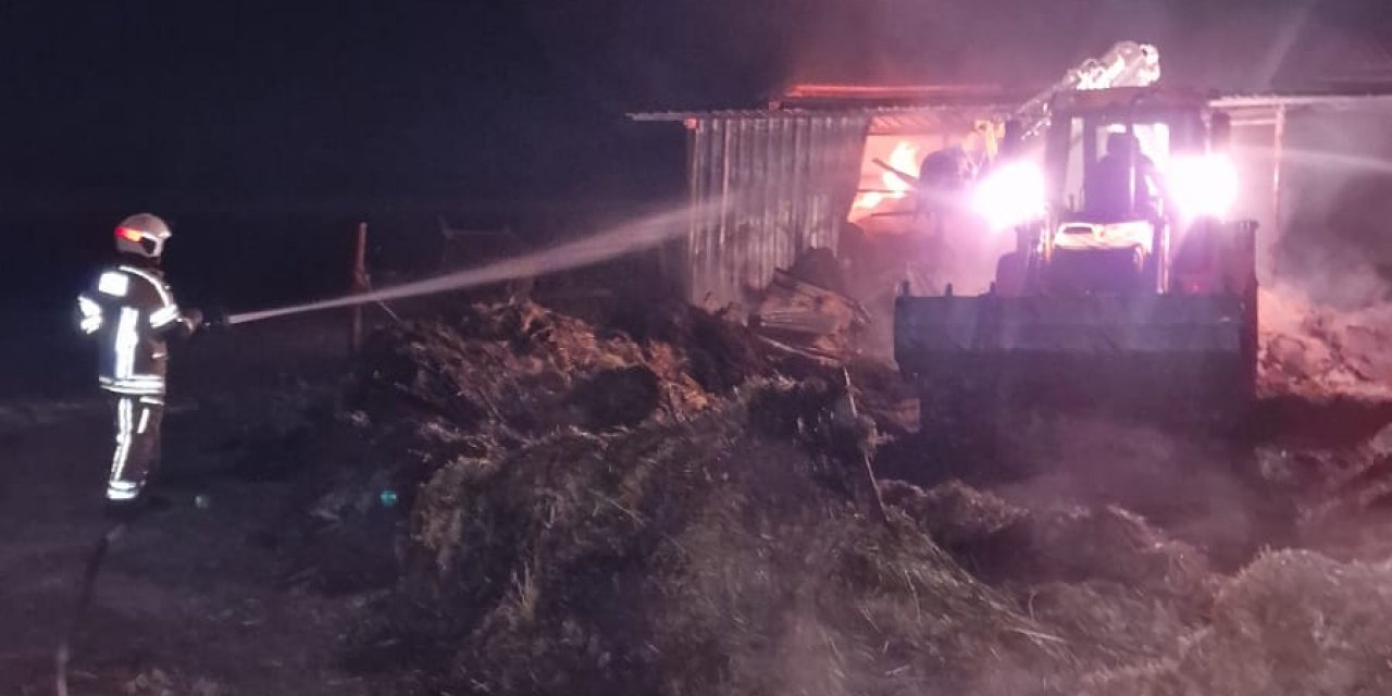 Sahibi tadilat yaparken ağılda yangın çıktı; 44 hayvan öldü