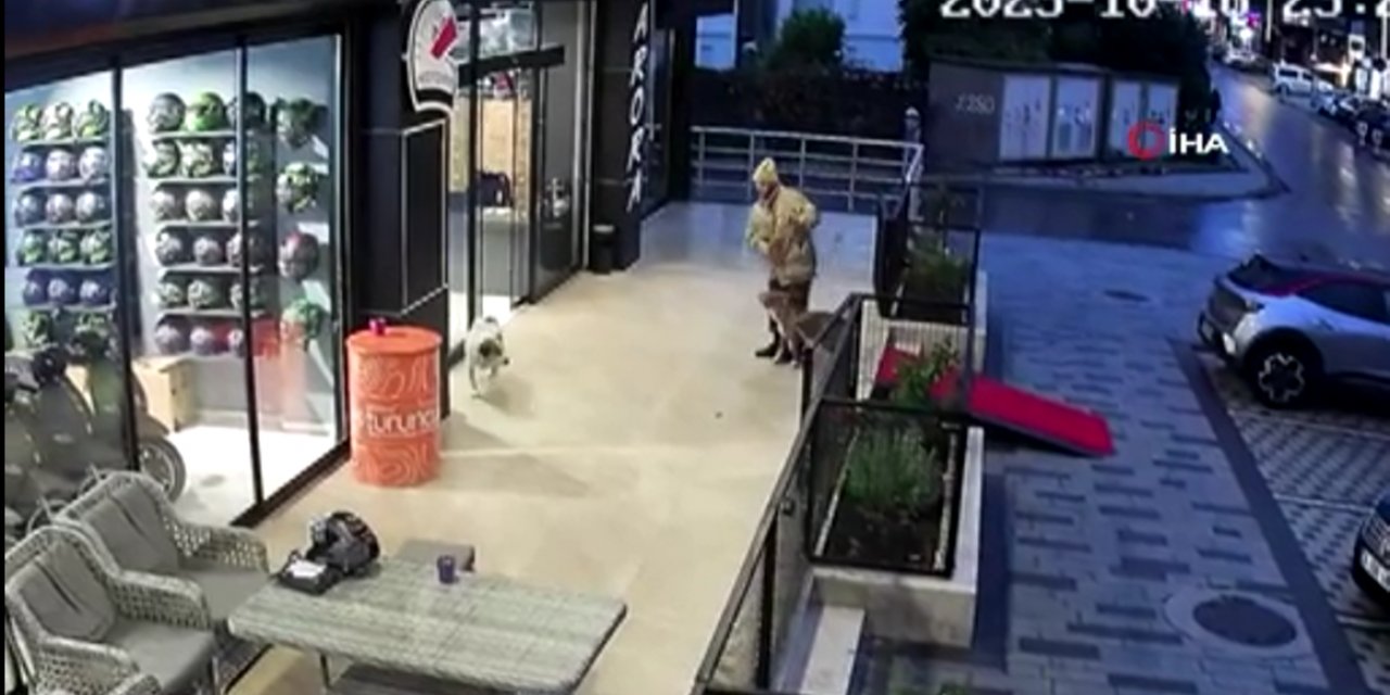 Pitbullunu sokak köpeklerinin üzerine salıp, vatandaşa bıçak çeken şahıs yakalandı