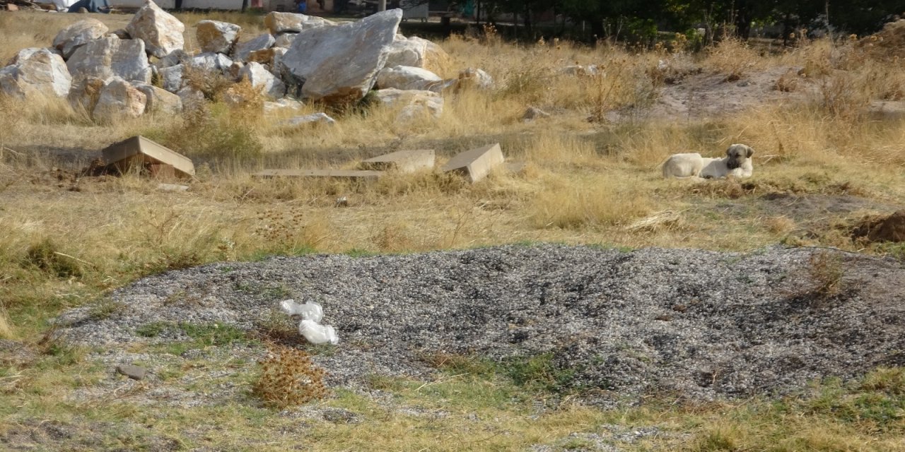Boş arazideki kokuyu araştıran ekipler bu manzara ile karşılaştı