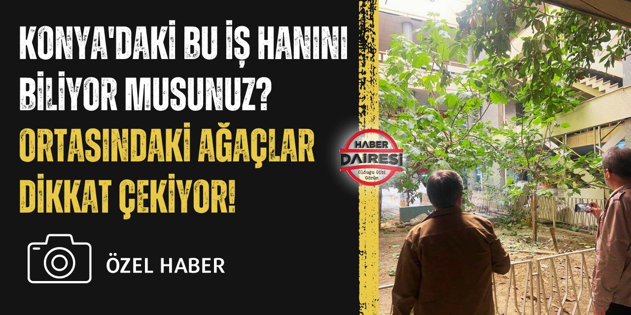 Konya’nın, ortasında ağaç olan tek iş hanı! Gören şaşkın