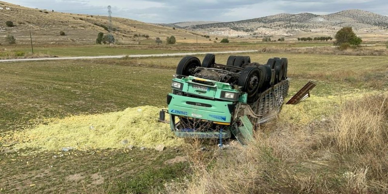 Yoldan çıkan kamyondaki 13 ton mısır silajı ziyan oldu