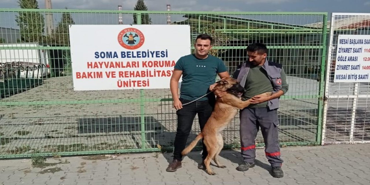 İzmir'de kayboldu, Soma'da sokakta bulundu
