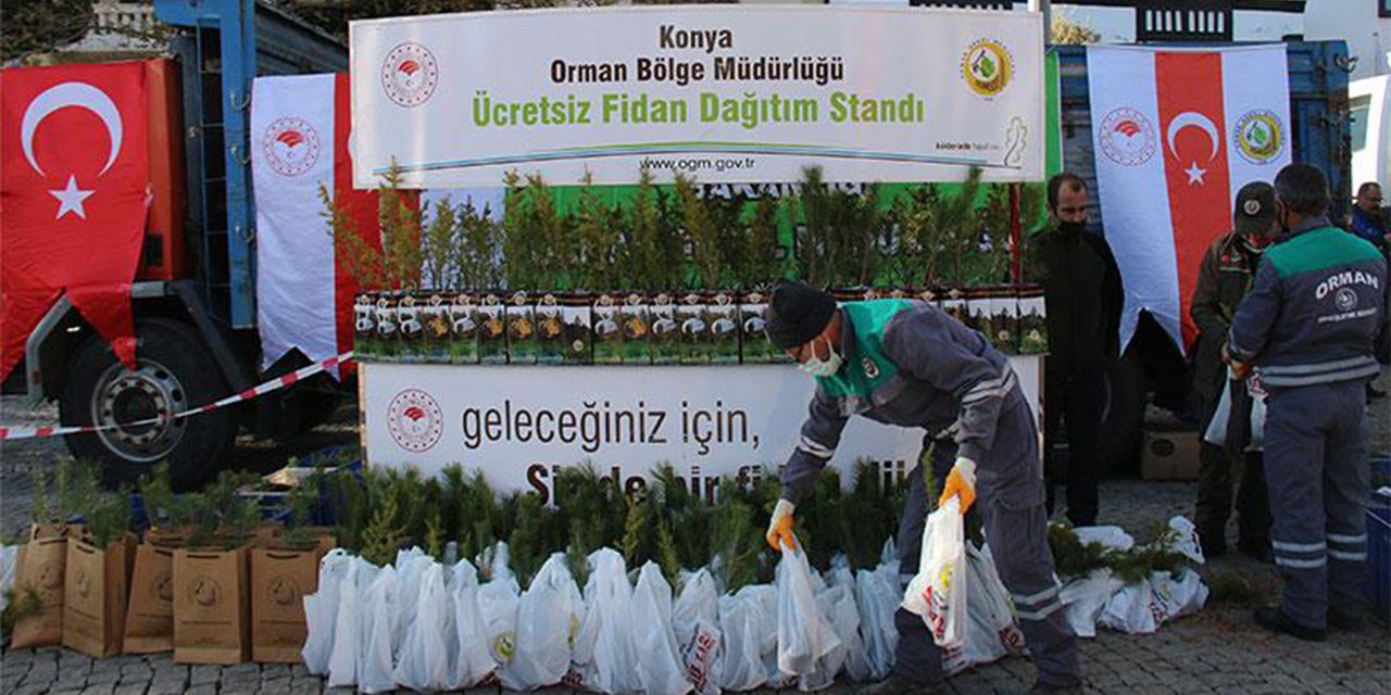 Konya’nın merkezinde ücretsiz fidan dağıtılacak