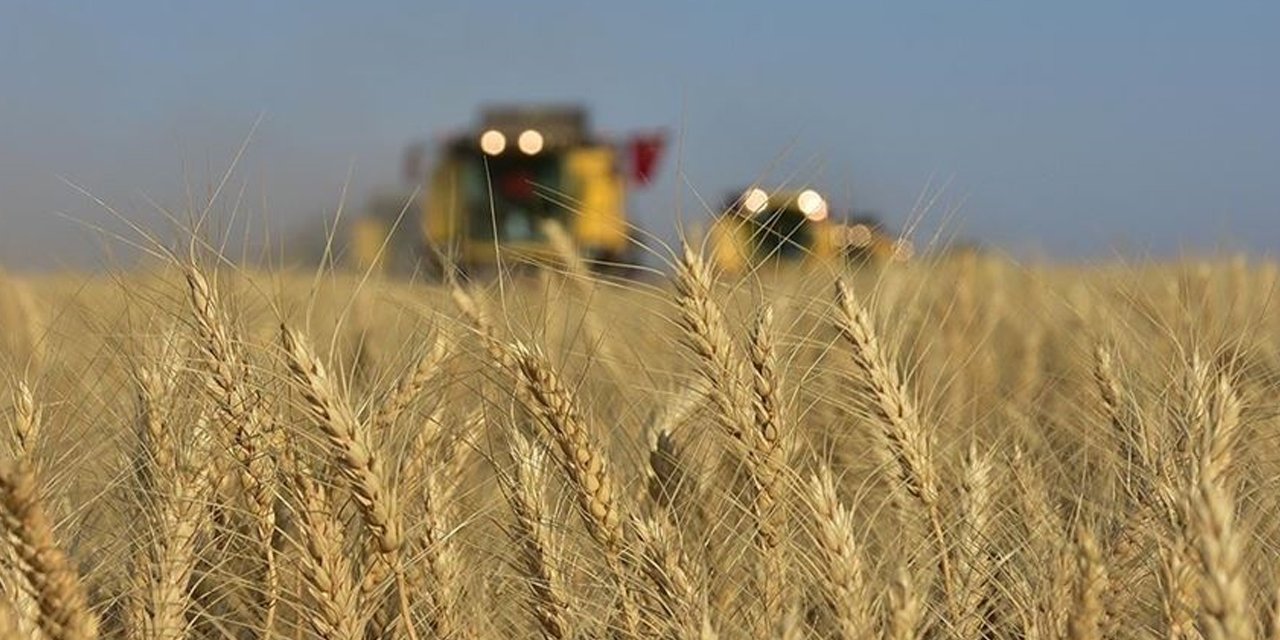 Tarım ÜFE Ekim'de geriledi, 12 ayda yüzde 62,56 arttı