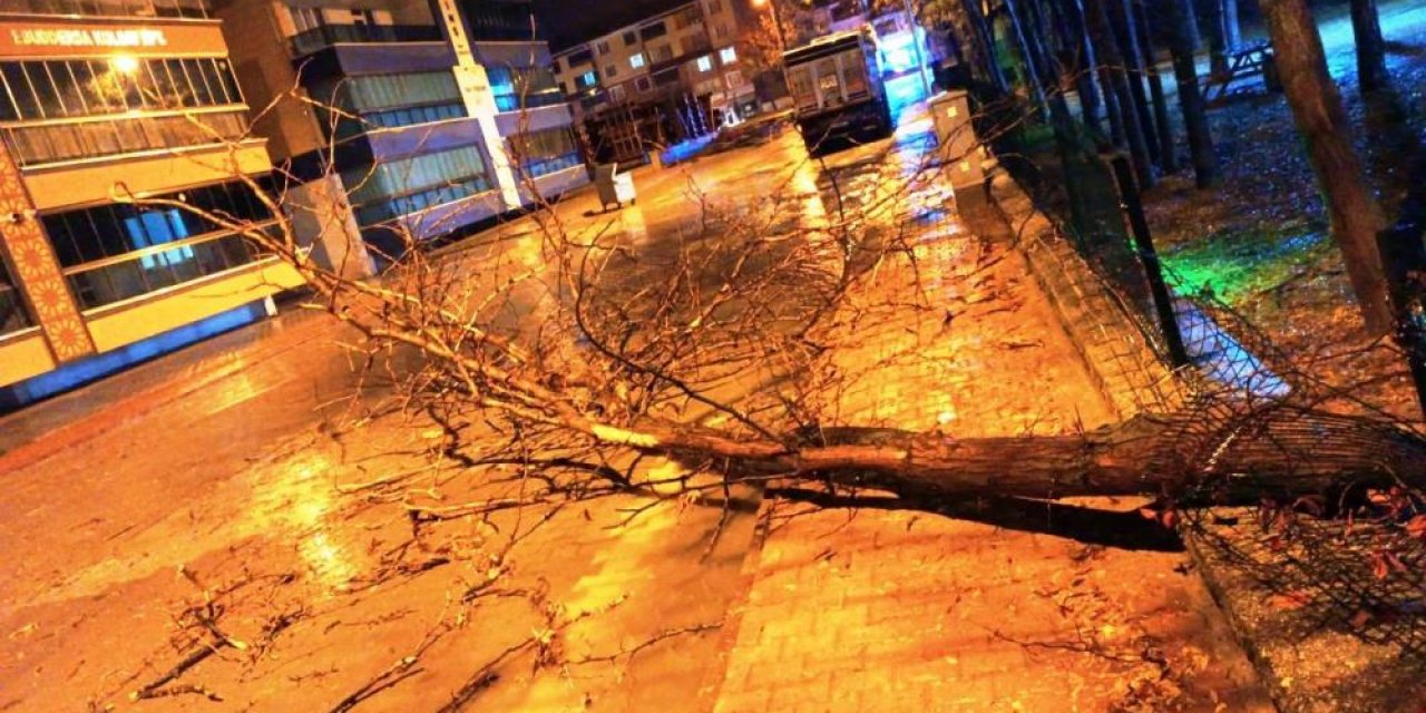 Konya’da şiddetli fırtına! Ağaçlar devrildi, çöp konteynerleri sürüklendi
