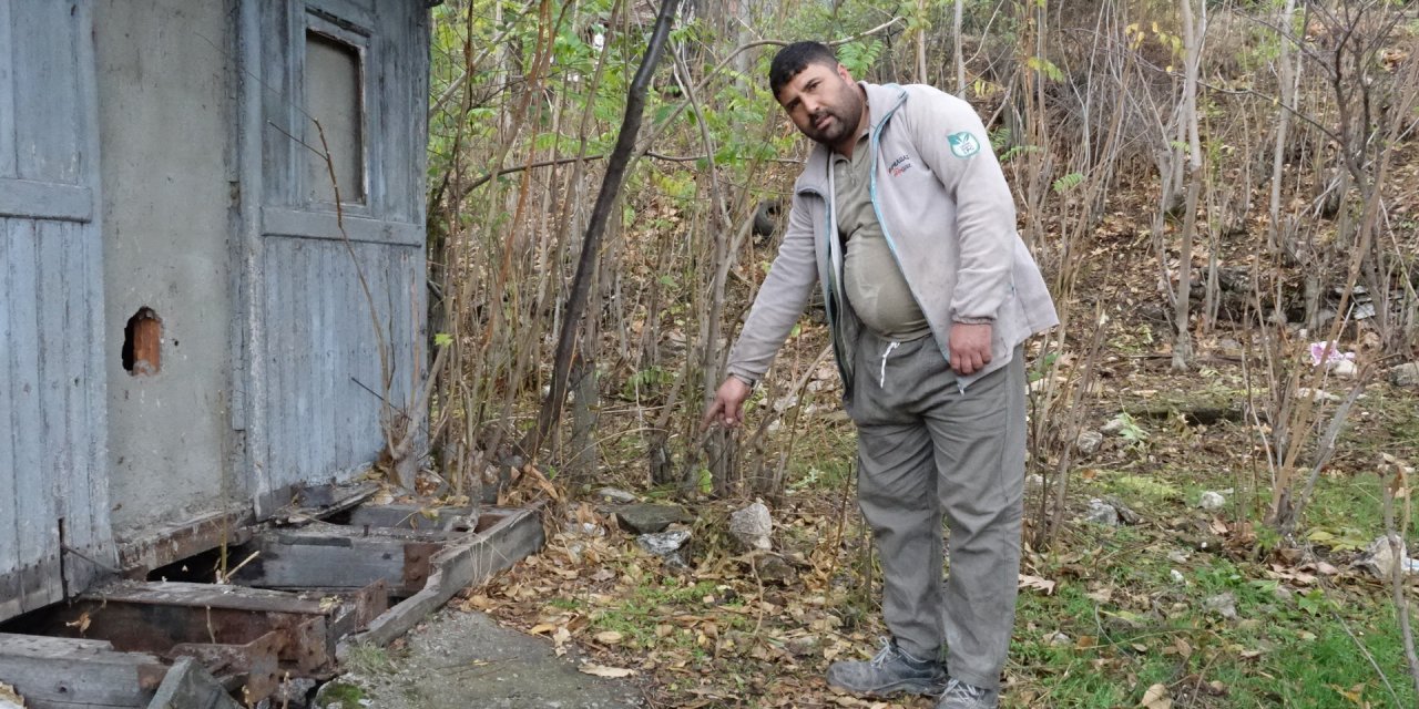 Tekme attığı poşetten çıkanları görünce gözlerine inanamadı