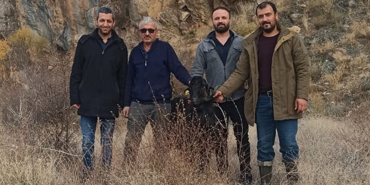 Konya’da keçi kurtarma operasyonu