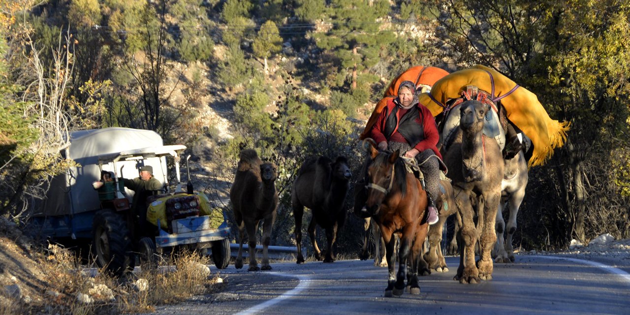 Konya’da yazı geçiren Sarıkeçili Yörüklerinin kış yolculuğu başladı