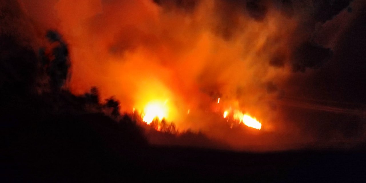 Orman yangını! 2 itfaiye eri hastaneye kaldırıldı