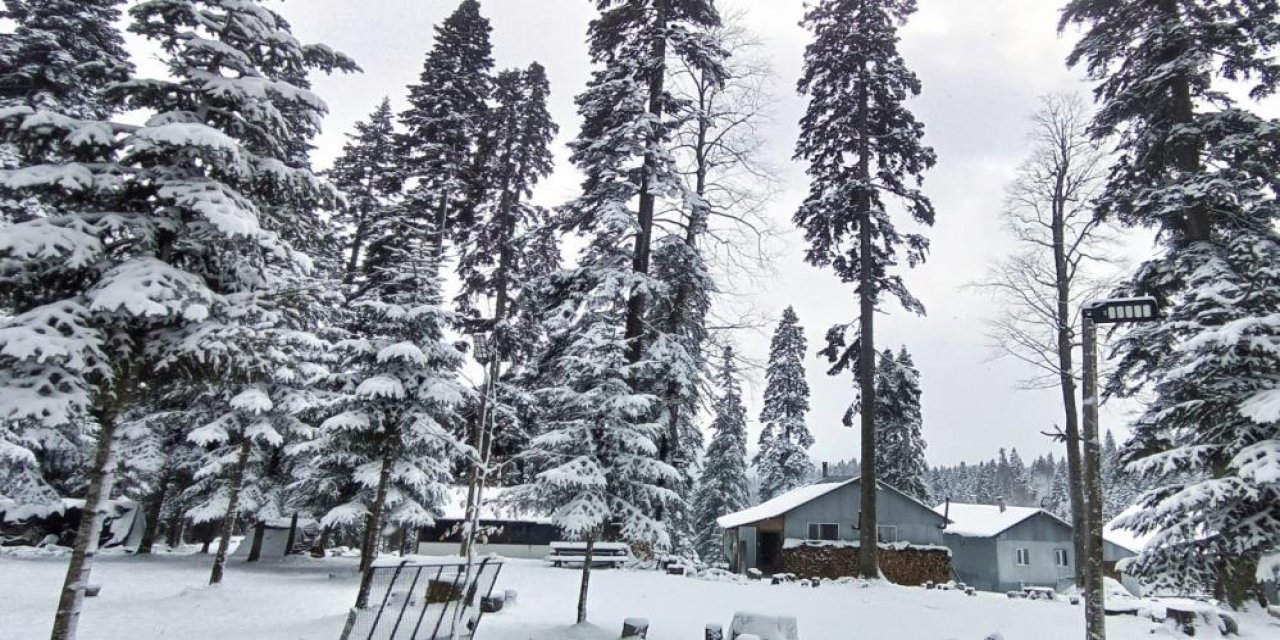 Yayla beyaz örtüyle kaplandı, kar kalınlığı 30 santimetreye kadar ulaştı