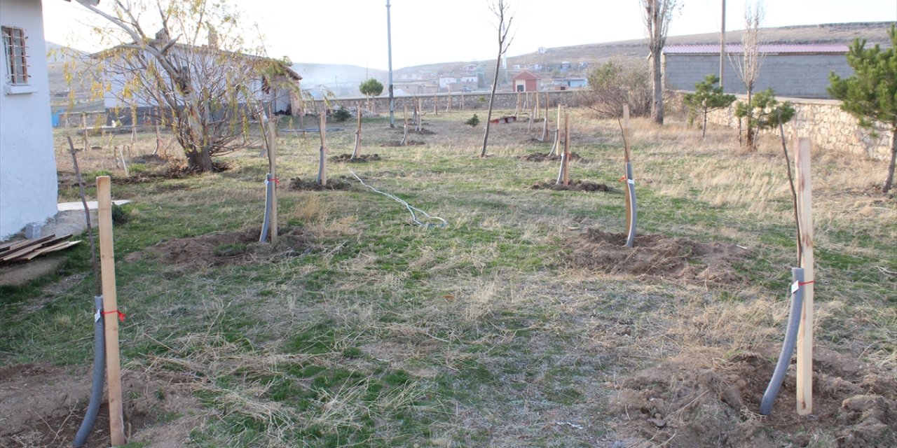 Konya’da okul bahçesi meyve bahçesine dönüştürüldü