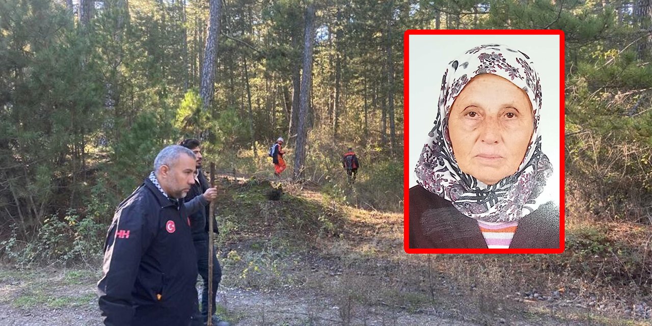 Mantar toplamaya giden yaşlı kadın ormanlık alanda ölü bulundu