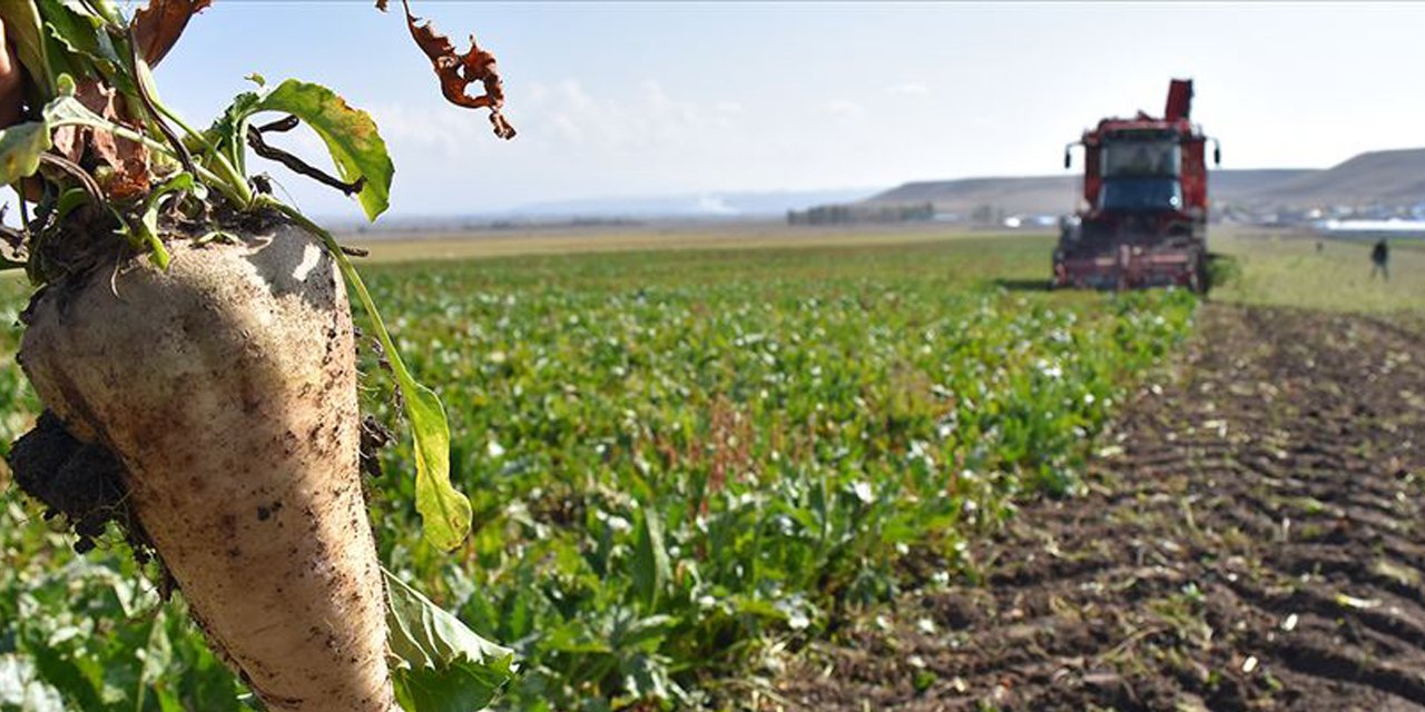 Uzmanlardan uyarı! Türkiye’de tarımsal ürünlerde yerli üretim artırılmalı