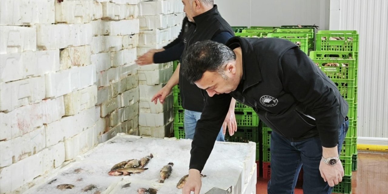 Beyşehir'de balık işleme tesisleri denetlendi