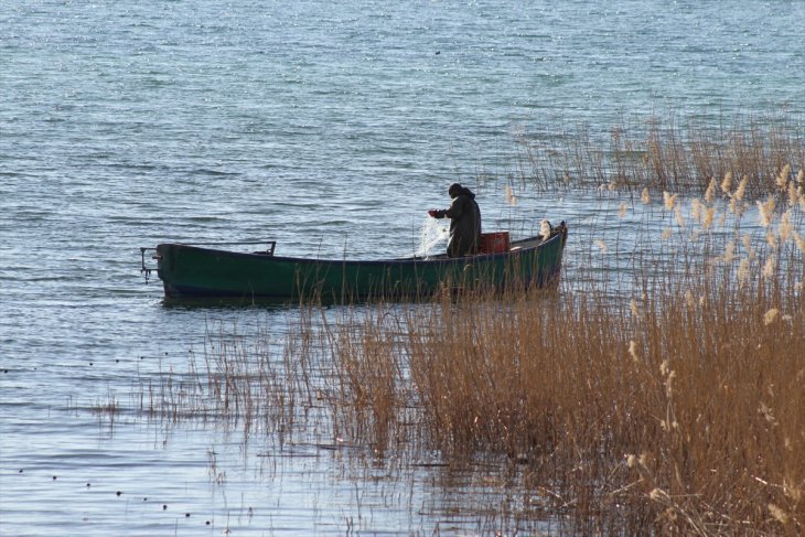 Beyşehir'de soğuk havalar su kuşlarını ve balıkçılıkları olumsuz etkiledi