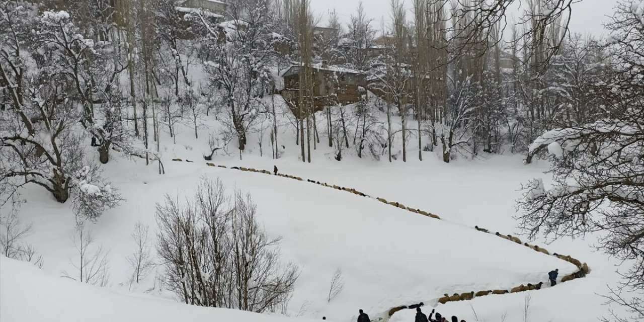Koyunların 1 metre kar üstünde zorlu yolculuğu
