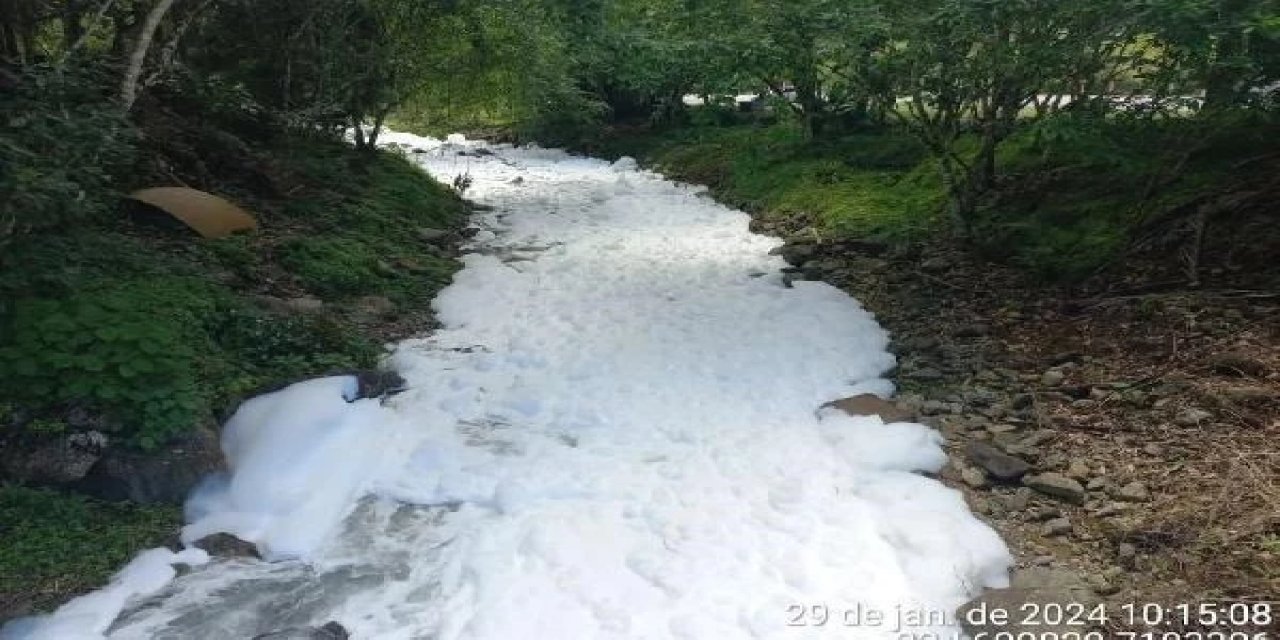 Zehirli kimyasal madde dökülen nehir beyaza büründü