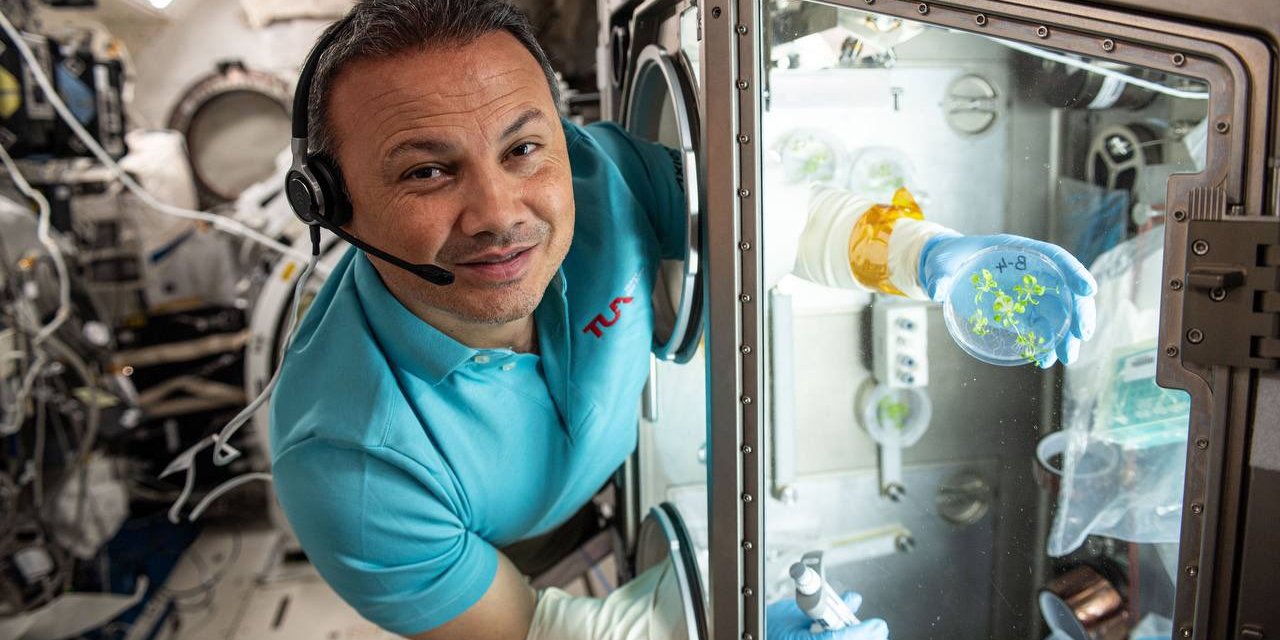 Alper Gezeravcı, uzaydaki bitki deneyinden yeni kareler paylaştı