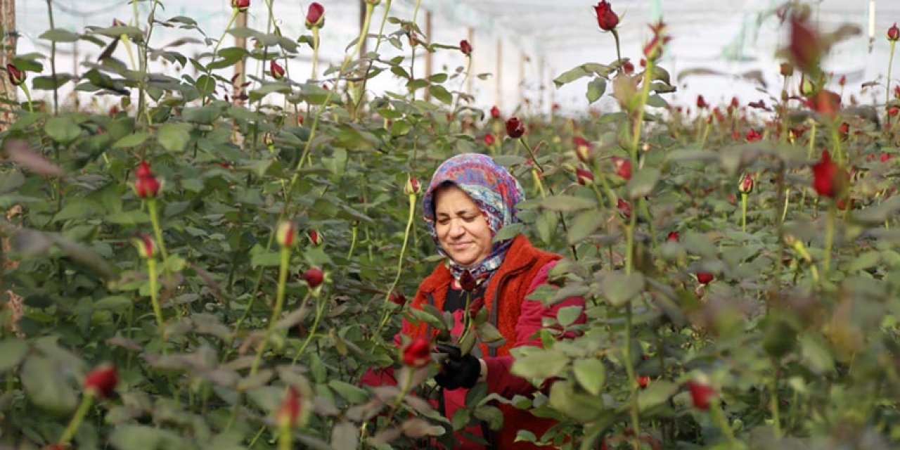 Serada 20 liraya, dükkanda ise 5 katı fiyata satılıyor