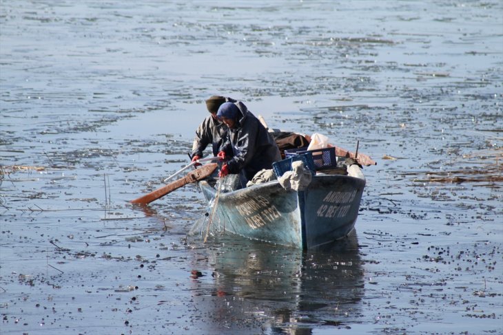 Çin sazanı Beyşehirli balıkçılar için umut oldu