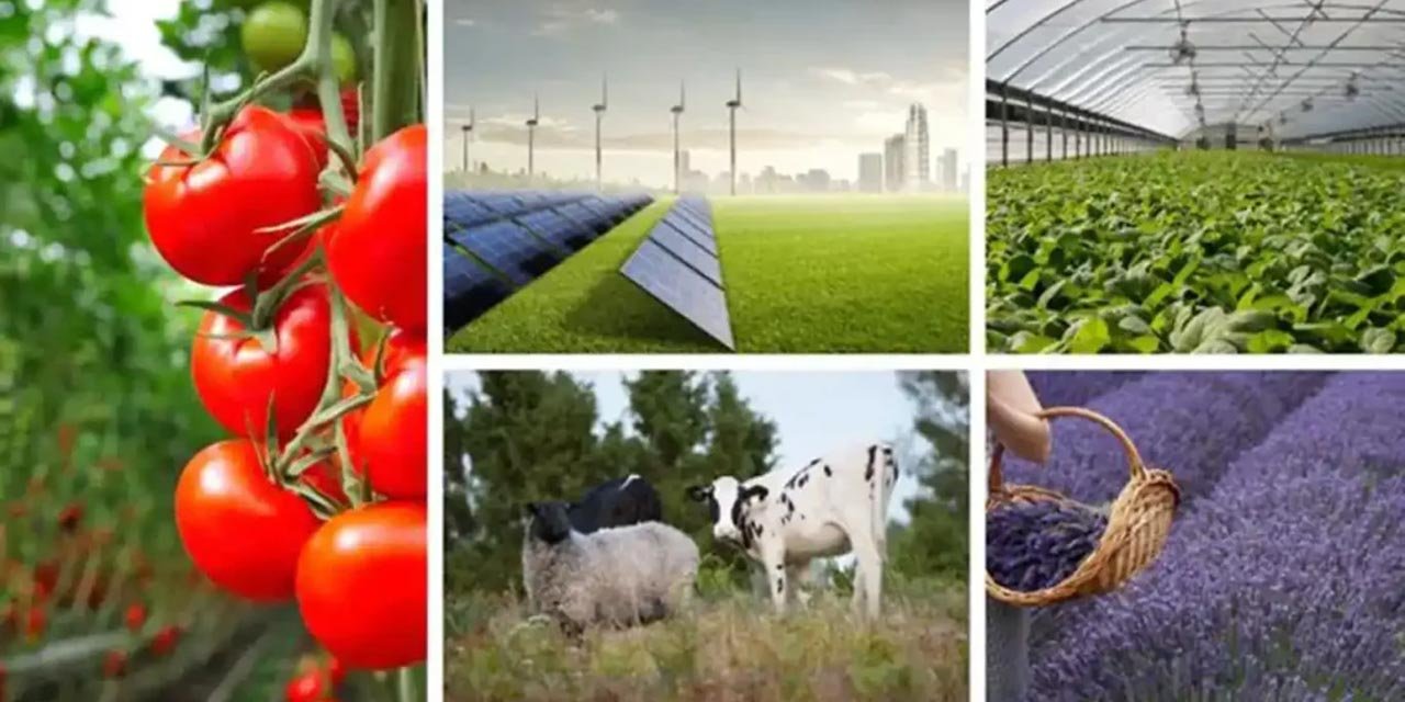 Konya’da bu projelere hibe desteği sağlanacak