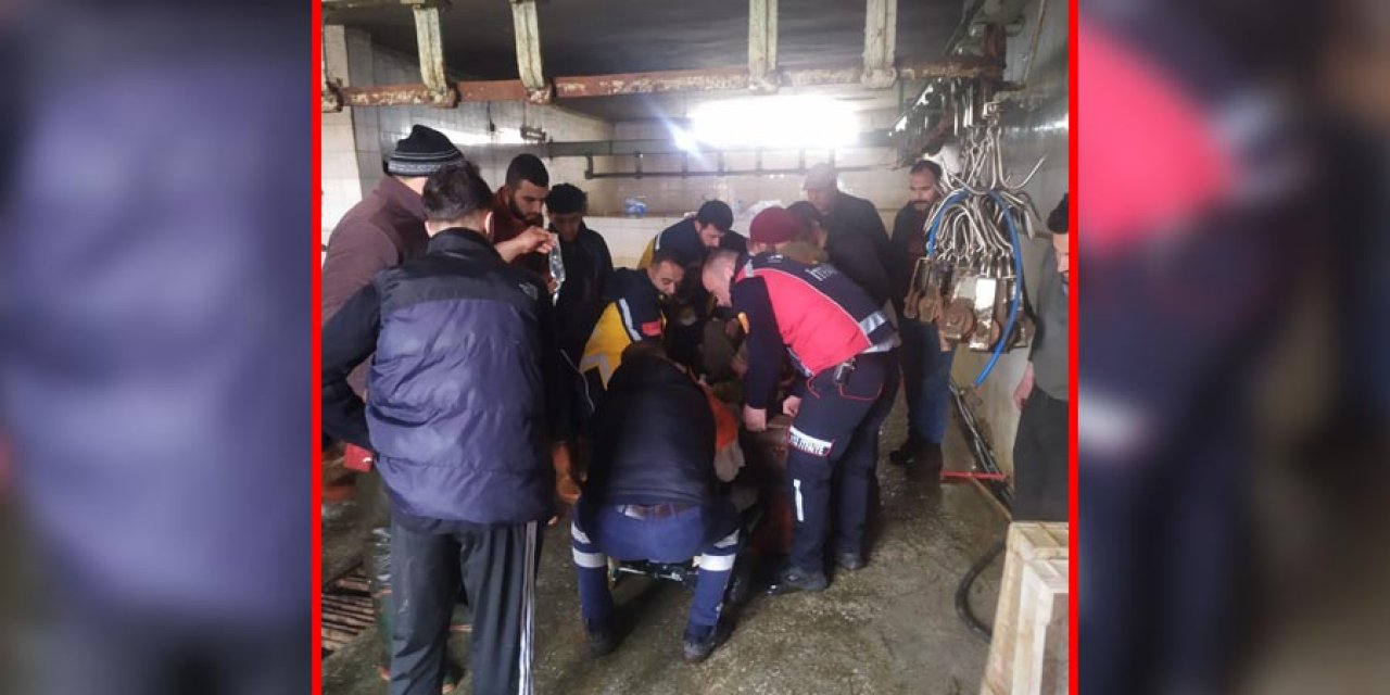 Mezbahada kolunu tırnak ayırma makinesine kaptırdı