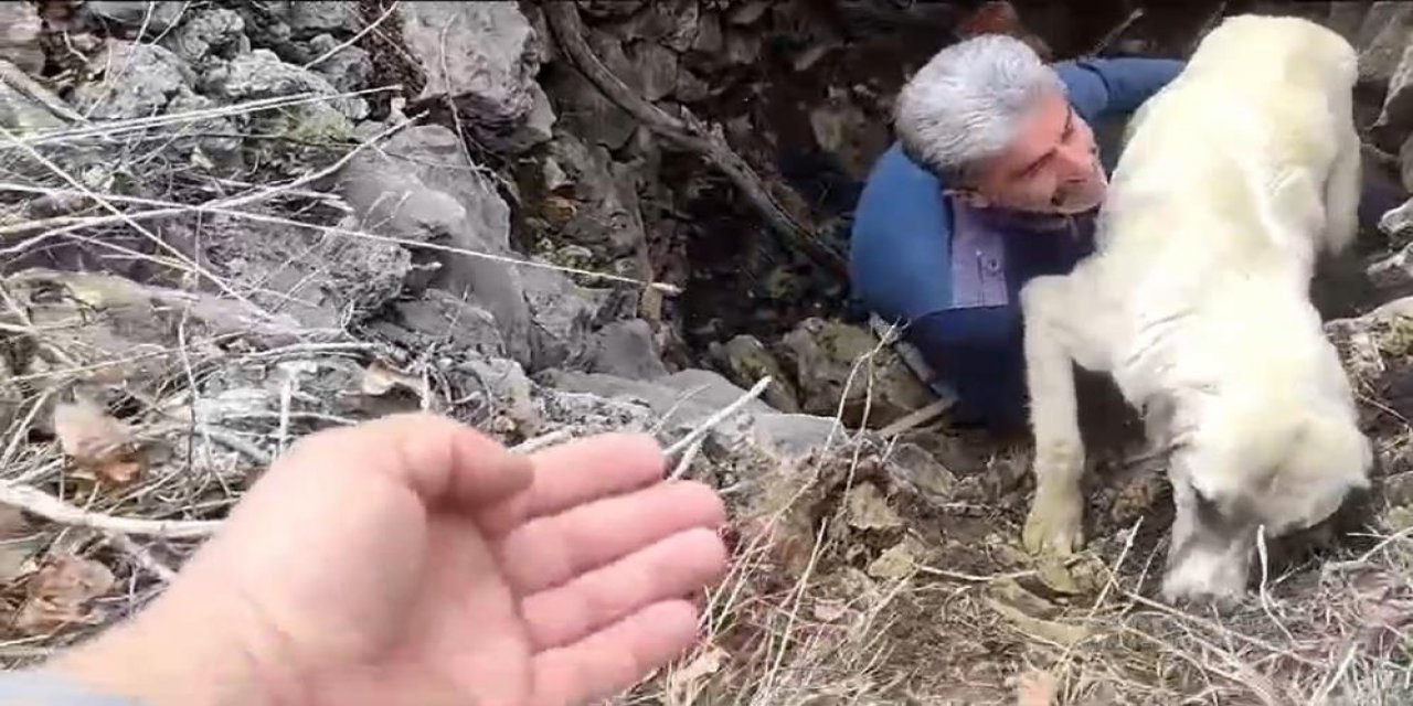 Konya’da kuyuya düşen köpek vatandaşlar tarafından kurtarıldı