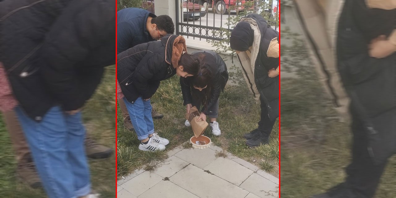 Konya’da özel çocuklar sokak hayvanlarını besledi