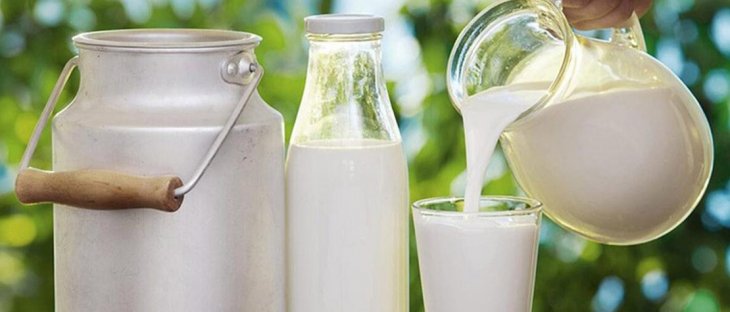 Konya süt üretiminde zirvede yer aldı