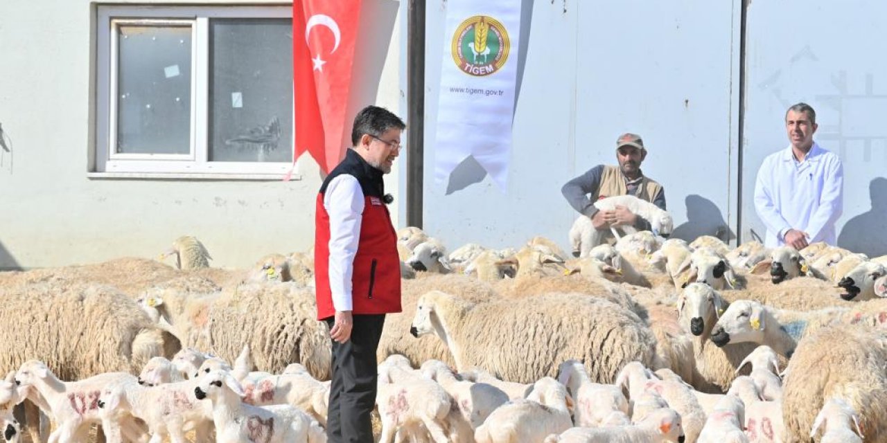 Tarım Bakanı Yumaklı'dan Ramazan öncesi et fiyatı açıklaması