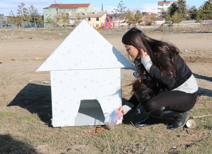 Konya’da üniversiteliler sokak hayvanları için barınak yaptı