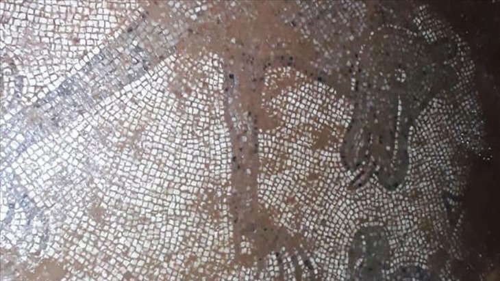İzinsiz kazıda Roma dönemine ait mozaikler ortaya çıktı