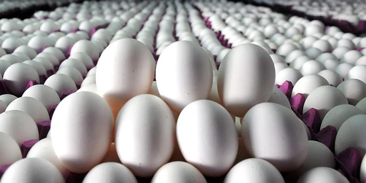 Ramazan’da fiyatı artmayan tek gıda ürünü yumurta oldu