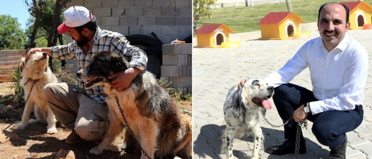 Konya'daki 'Gönüllü Hayvan Dostları Projesi' Türkiye’ye örnek oluyor