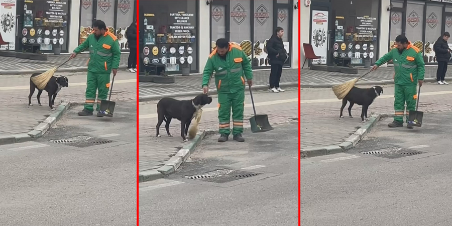 Temizlik görevlisinin sokak köpeğine yaptığı hareket yürekleri ısıttı