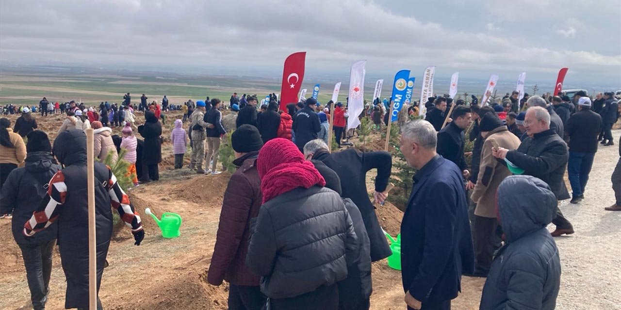 Daha yeşil Konya için 10 bin fidan toprakla buluştu
