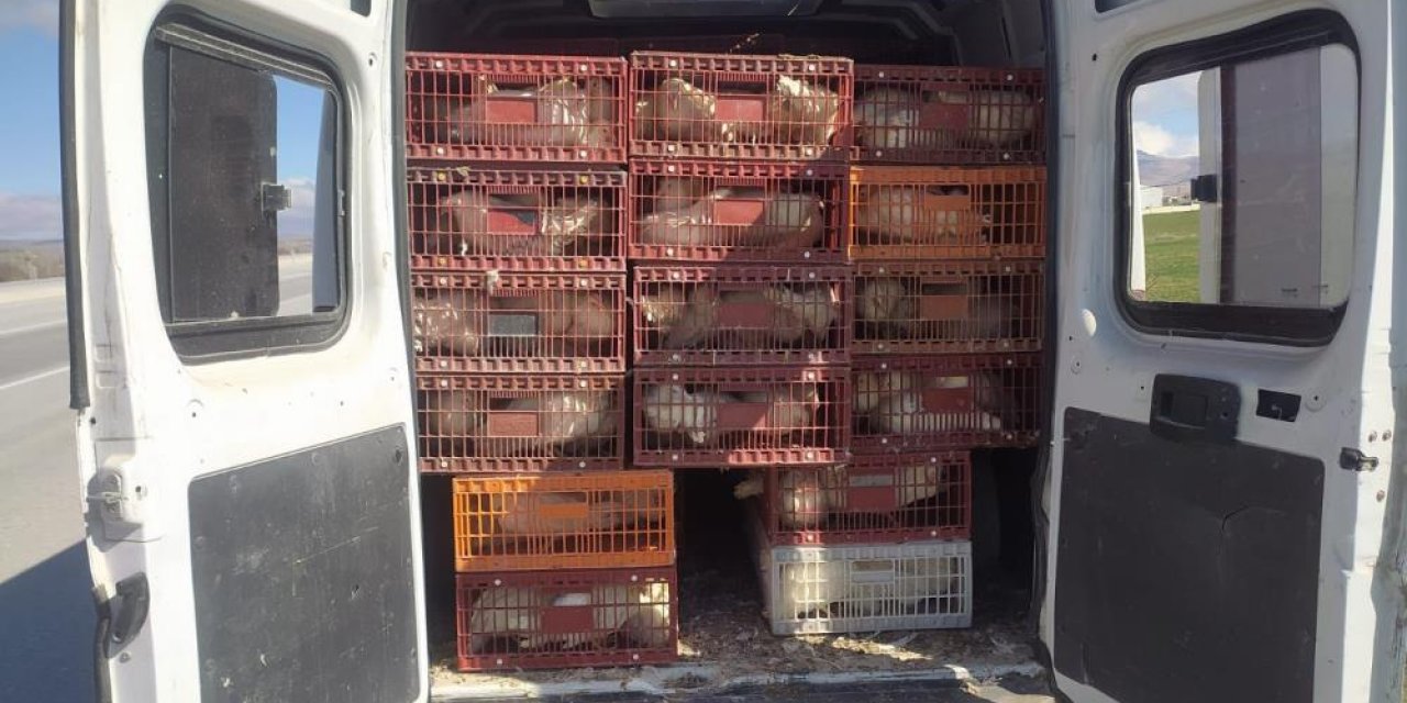 Konya’dan İstanbul’a kaçak tavuk taşırken yakalandı
