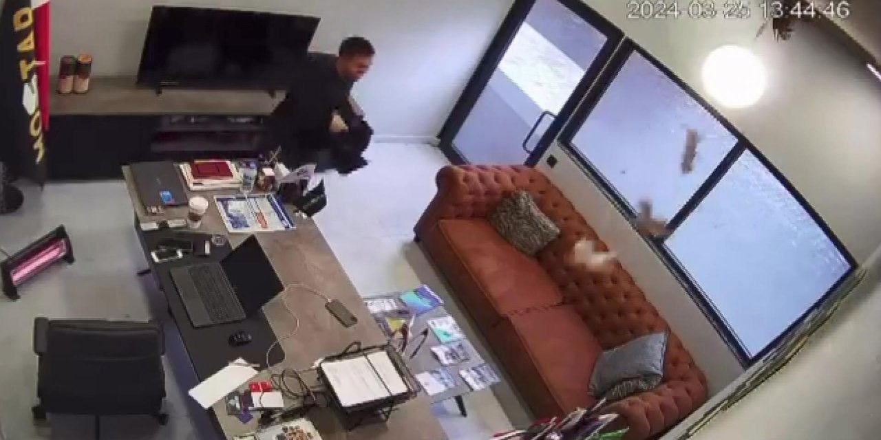 Ofisin tavanından kedi yağdı