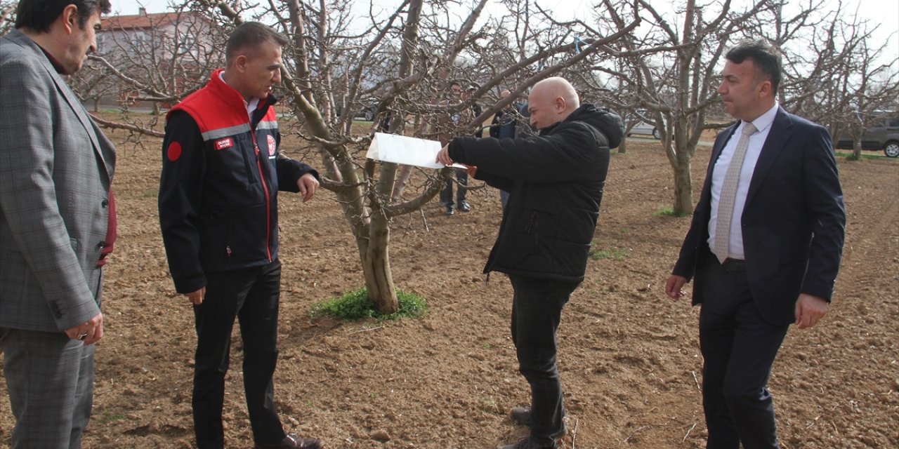 Konya İl Tarım ve Orman Müdürü Seçen Beyşehir'de elma bahçesini gezdi