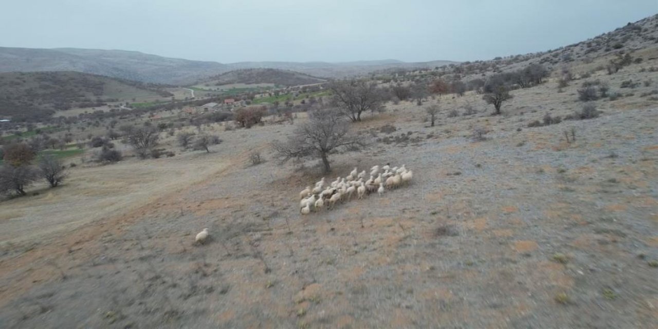 Konya’da dağlık arazide kaybolan koyunlar böyle bulundu