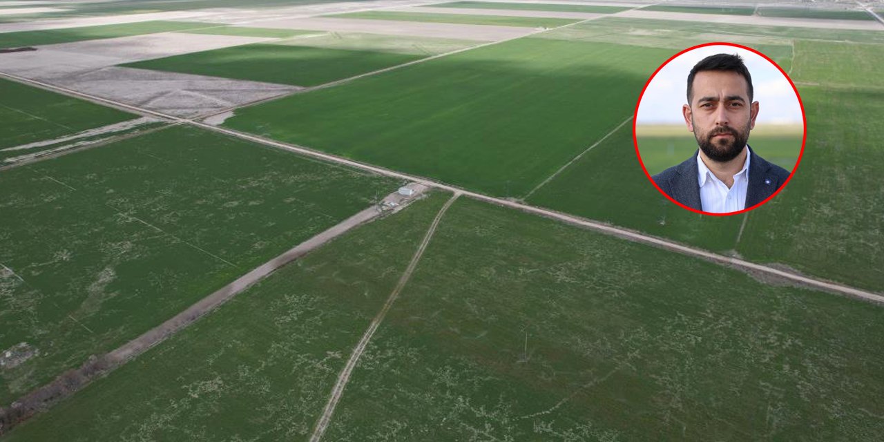 Konya’da uzmanından çiftçilere önemli uyarı: Sık sık kontrol edilmeli
