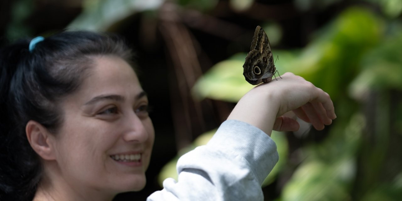 Konya Tropikal Kelebek Bahçesi bayramda da ziyaretçi akınına uğruyor