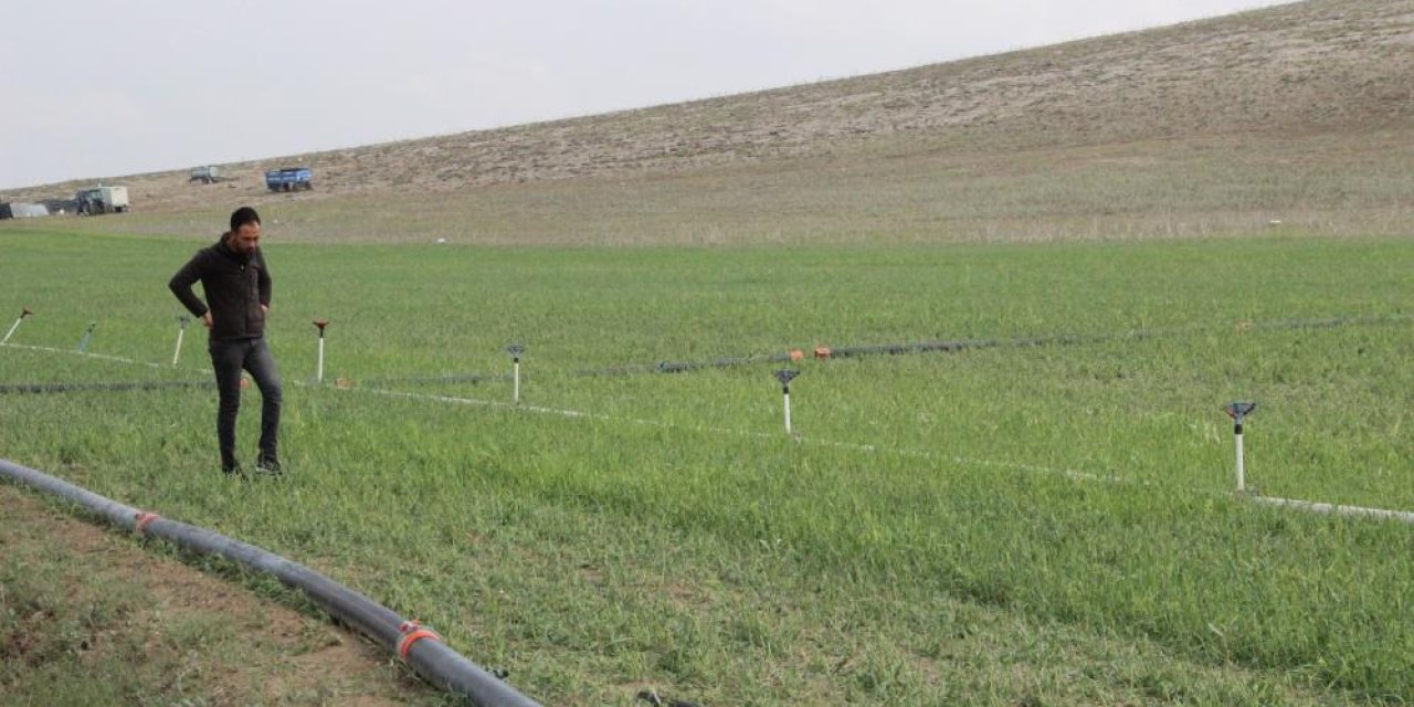 Konya’nın komşu ilinde dolu ekili arazilere zarar verdi